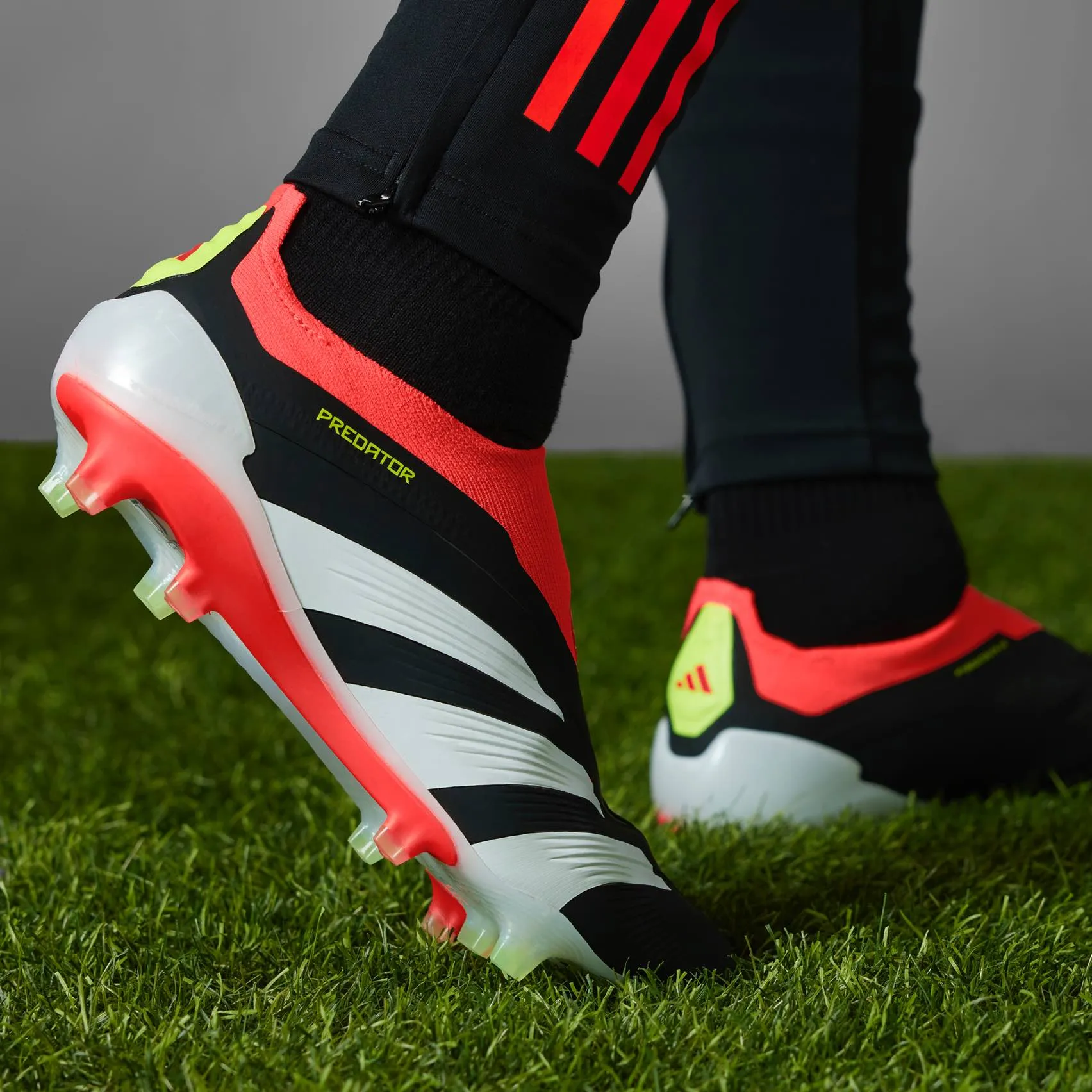 adidas Predator Elite Laceless FG